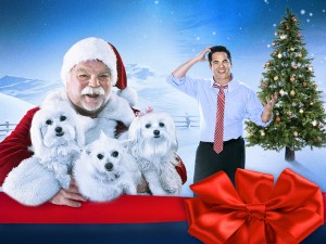 (right) Dean Cain stars in THE 3 DOGATEERS." ©RLJ Entertainment /  Image Entertainment.