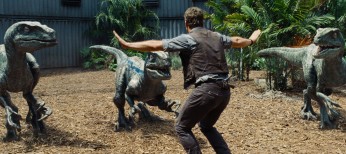 Photos: Chris Pratt is the Raptor Whisperer in ‘Jurassic World’