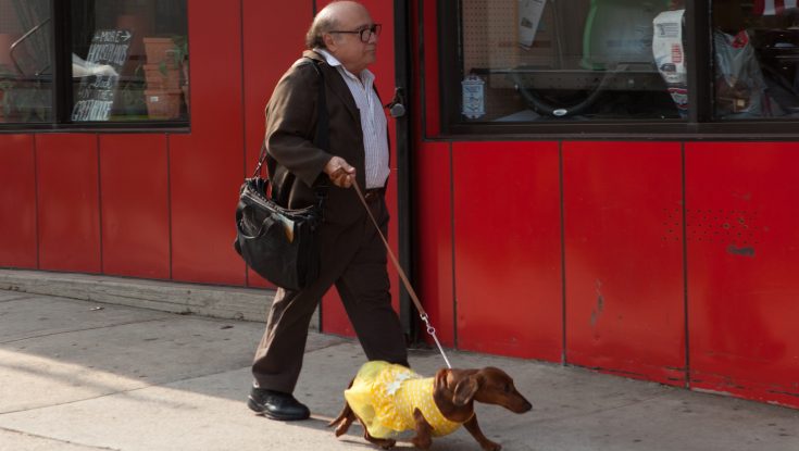 EXCLUSIVE: Todd Solondz Returns with ‘Wiener-Dog’