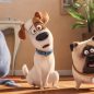 Photos: ‘The Secret Life of Pets’ Paws Its Way to DVD and Blu-ray