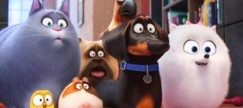 ‘The Secret Life of Pets’ Paws Its Way to DVD and Blu-ray