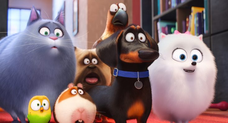 ‘The Secret Life of Pets’ Paws Its Way to DVD and Blu-ray