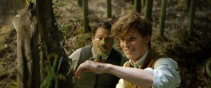 (l-r) Dan Fogler as Jacob and Eddie Redmayne as Newt with a beast called Bowtruckle in FANTASTICS BEASTS AND WHERE TO FIND THEM. ©Warner Bros. Entertainment.