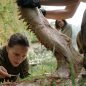 ‘Annihilation’ More Good-Looking Than Good