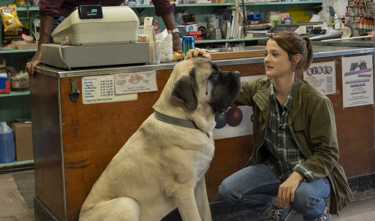 Photos: EXCLUSIVE: ‘A Dog’s Journey’ Actress Says it’s High Time for Girl-and-her-Dog Movie