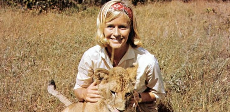 In Retrospect: Virginia McKenna Remembers Being ‘Born Free’