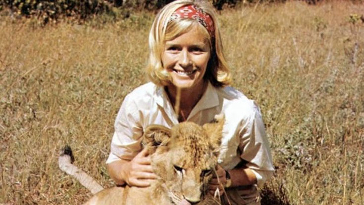 In Retrospect: Virginia McKenna Remembers Being ‘Born Free’