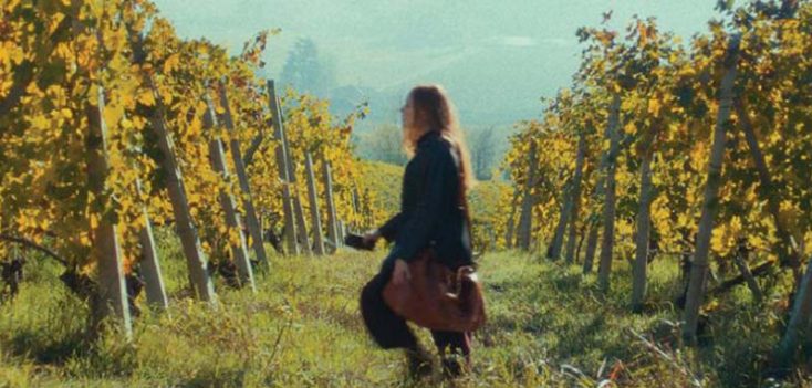 Photos: ‘Trifole’ Debuts on Home Entertainment