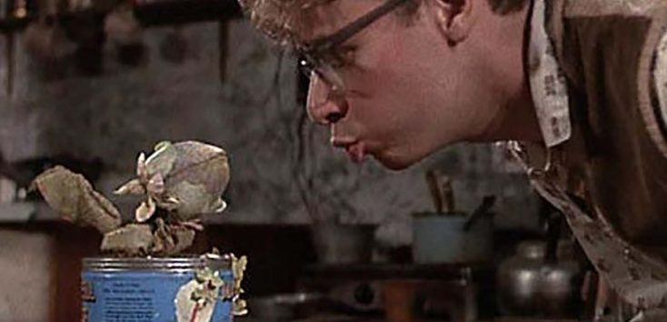 Photos: ‘Little Shop of Horrors’ Debuts in 4K for its 40th Anniversary