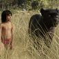 Disney’s ‘The Jungle Book’ Swings On To Home Video
