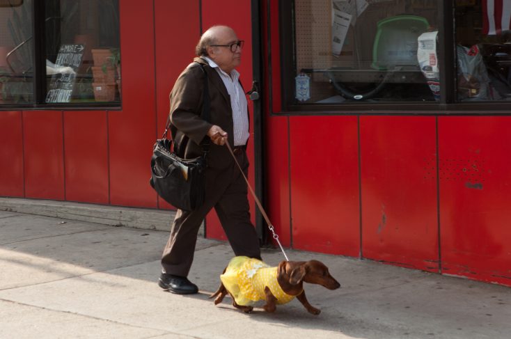 EXCLUSIVE: Todd Solondz Returns with ‘Wiener-Dog’