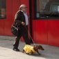 Photos: Solondz Fans Will Relish ‘Wiener-Dog’