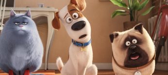 Photos: ‘The Secret Life of Pets’ Paws Its Way to DVD and Blu-ray