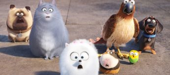 Photos: EXCLUSIVE: A Purr-fect Life for Lake Bell in ‘Secret Life of Pets’