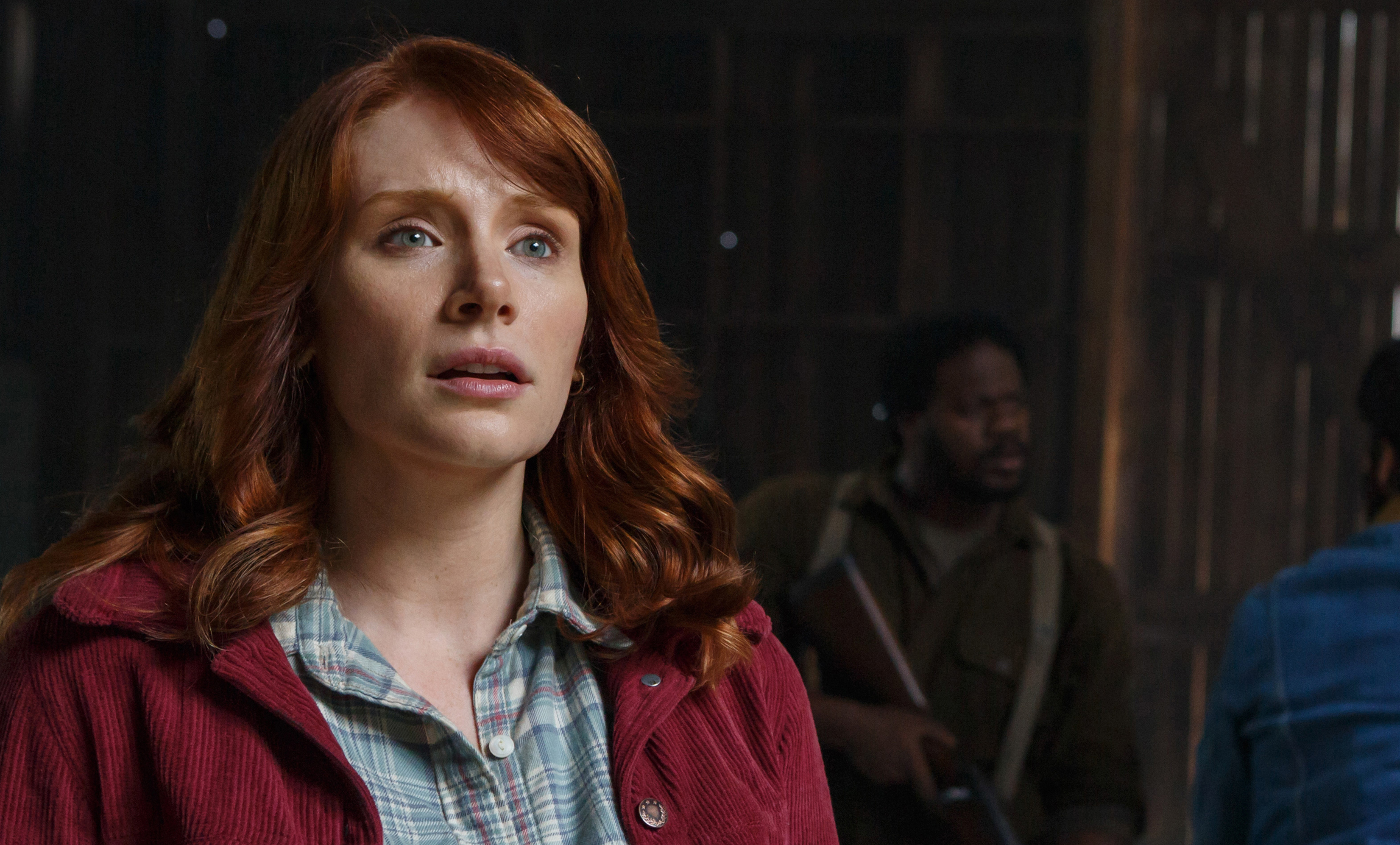 Грейс ховард билд. Bryce Dallas Howard. Брайс Даллас Ховард Гринч. Брайс Холланд Говард.