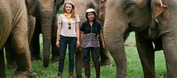 News Bites: ‘Ivan’ Starts, Imogen Poots Signs, ‘Arizona’ Acquired, Elephant Doc Gathers