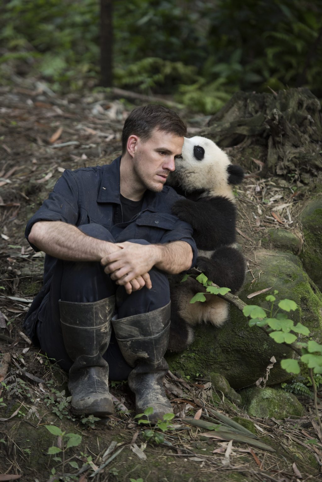 Photos Noted Animal Documentarian Returns With Pandas Front Row