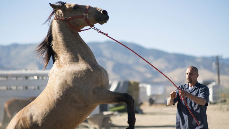 Photos: EXCLUSIVE: Matthias Schoenaerts is Home on the Range in ‘Mustang’