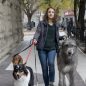 EXCLUSIVE: ‘A Dog’s Journey’ Actress Says it’s High Time for Girl-and-her-Dog Movie