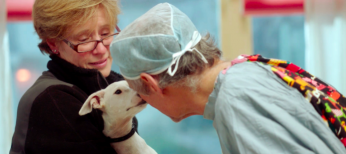 UPDATE: Doc on Unconventional Dog Vet is Available Now on Prime Video