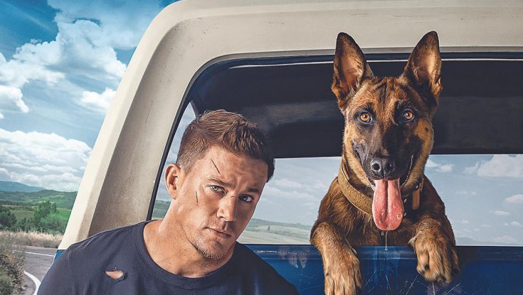 ‘Clean,’ ‘Dog,’ ‘Kin,’ ‘Uncharted,’ More Debut on Home Entertainment This Week