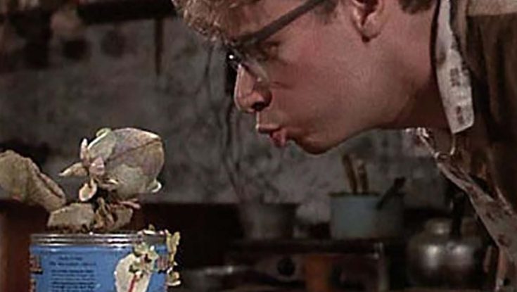 Photos: ‘Little Shop of Horrors’ Debuts in 4K for its 40th Anniversary
